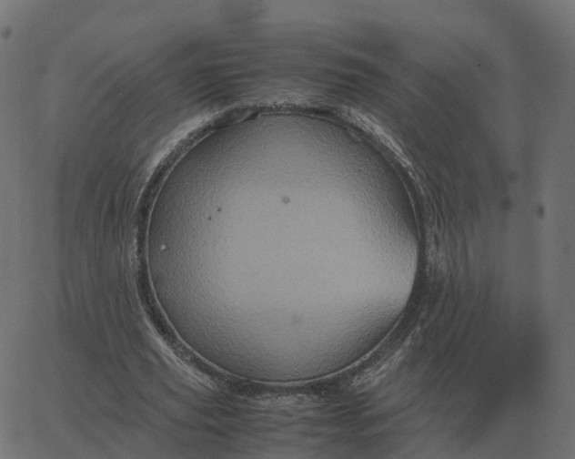 X0000067890629200604271827