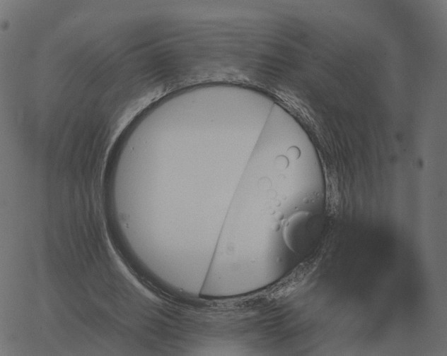 X0000067890630200604271827