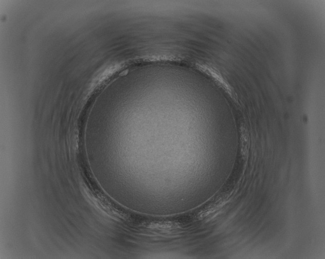 X0000067890631200604271827