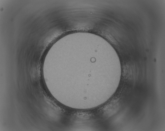 X0000067890632200604271827