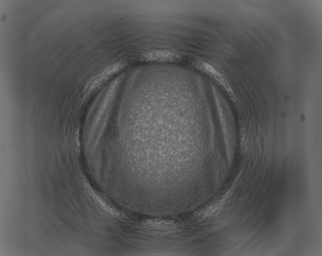 X0000067890633200604271827