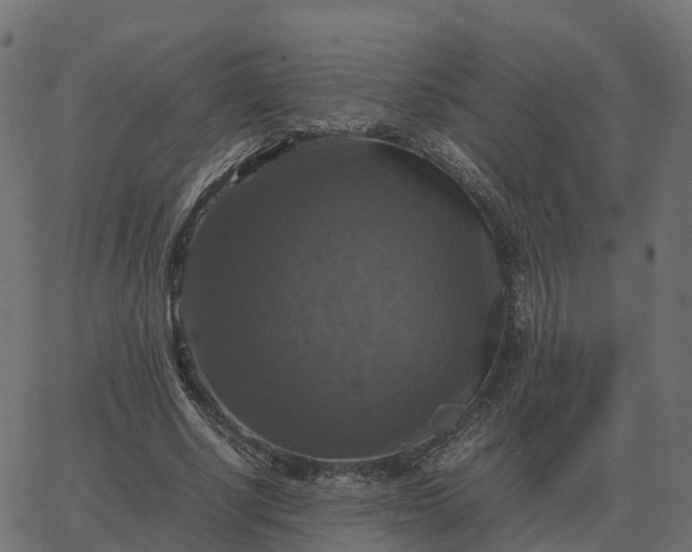 X0000067890634200604271827