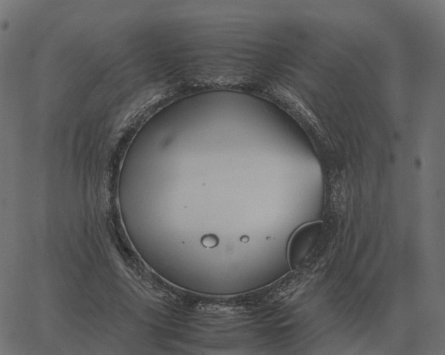 X0000067890635200604271827