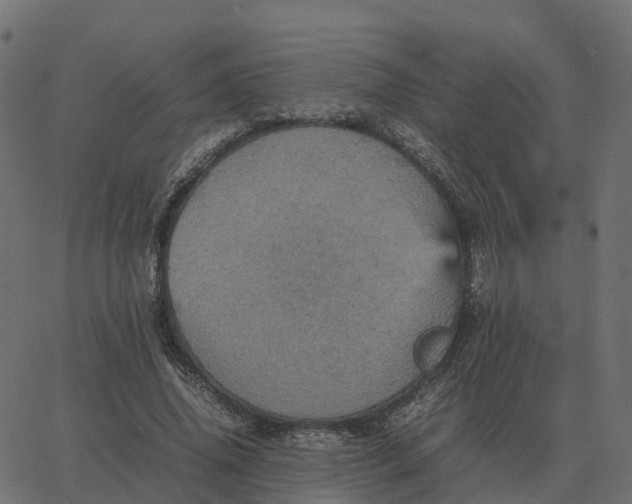 X0000067890636200604271827