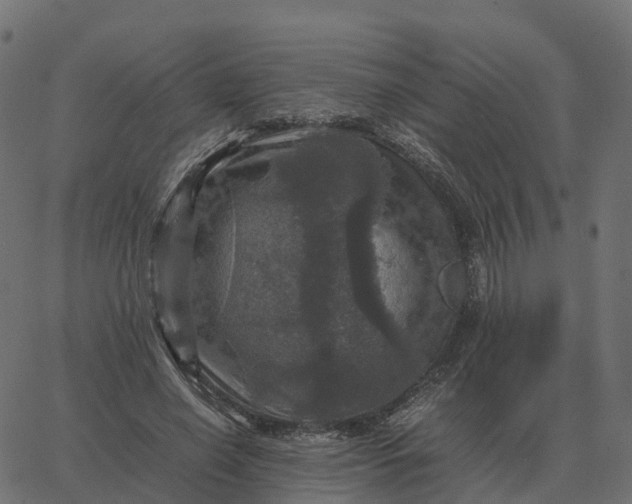 X0000067890638200604271827