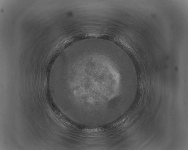 X0000067890639200604271827