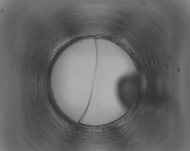 X0000067890640200604271827