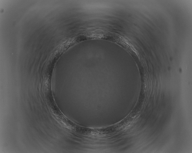 X0000067890641200604271827