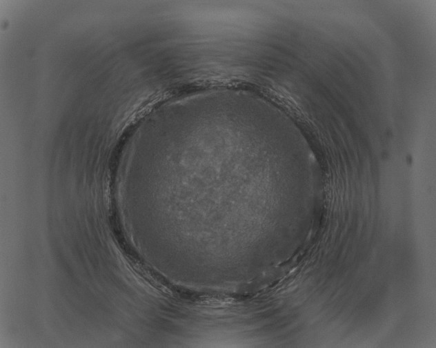 X0000067890642200604271827