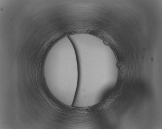 X0000067890644200604271827