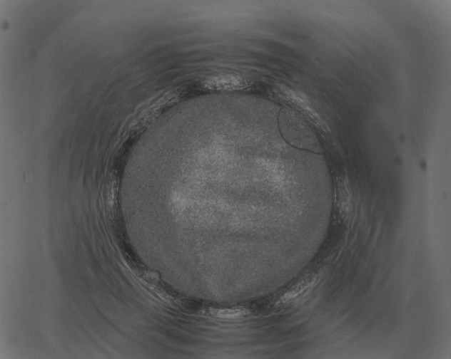 X0000067890645200604271827