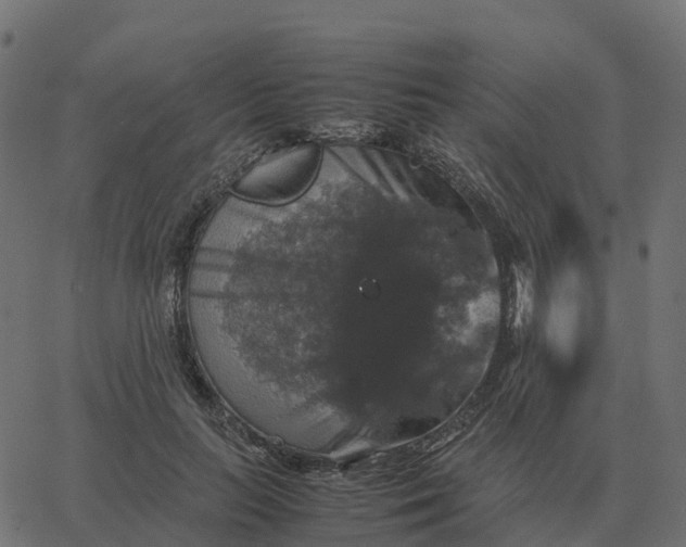 X0000067890647200604271827