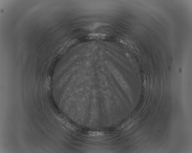 X0000067890649200604271827