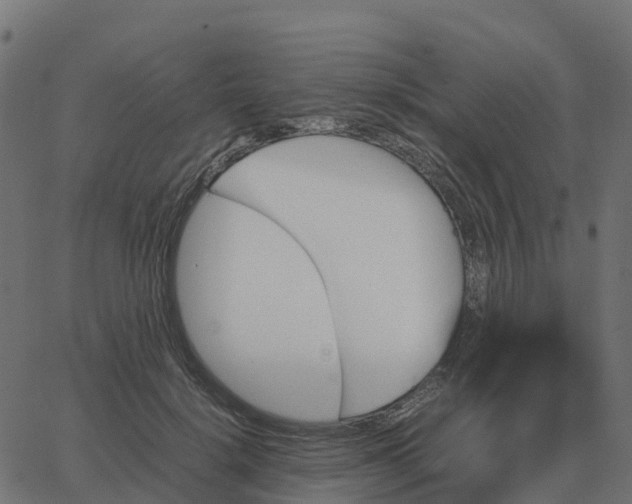 X0000067890652200604271827