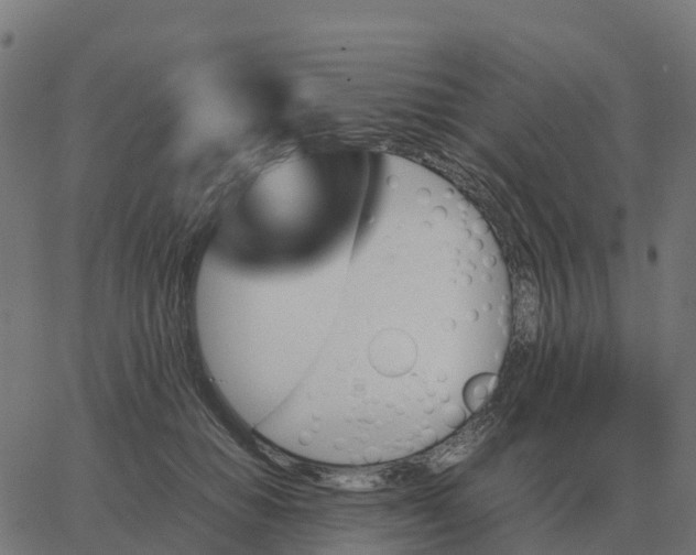 X0000067890654200604271828