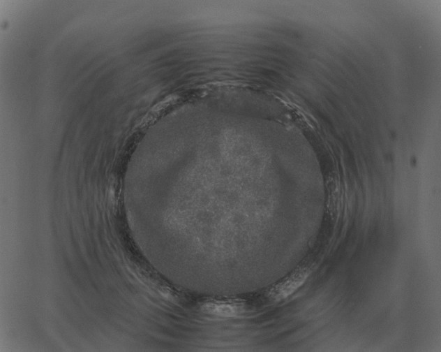 X0000067890655200604271828