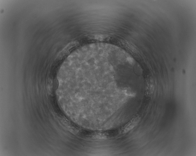 X0000067890656200604271828