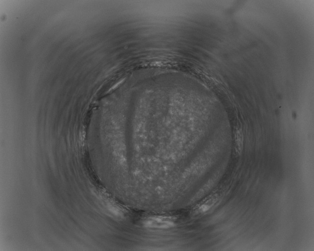 X0000067890657200604271828