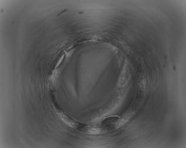 X0000067890658200604271828