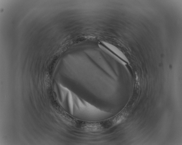 X0000067890659200604271828