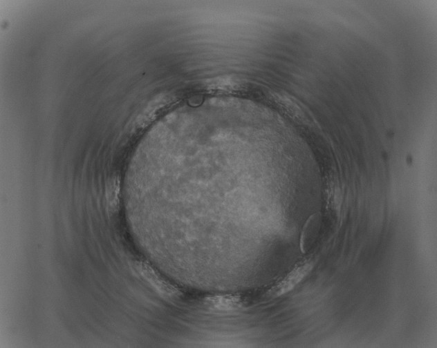 X0000067890660200604271828