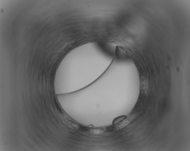 X0000067890662200604271828