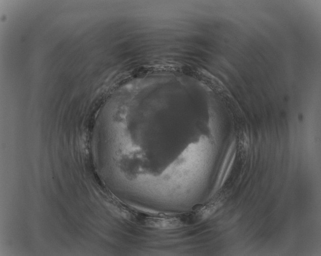 X0000067890663200604271828