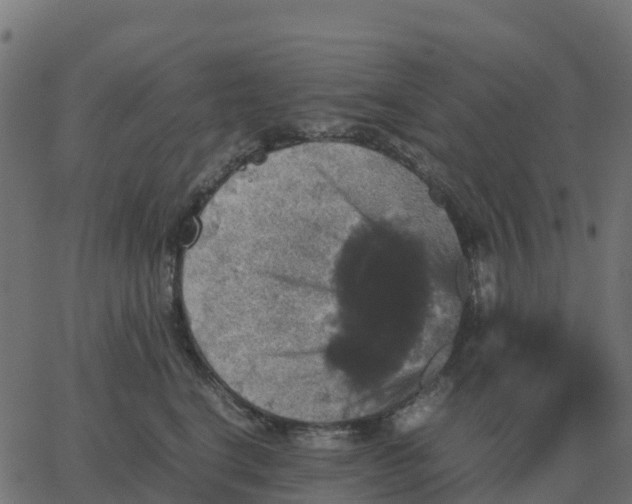 X0000067890664200604271828