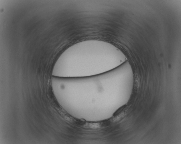 X0000067890665200604271828