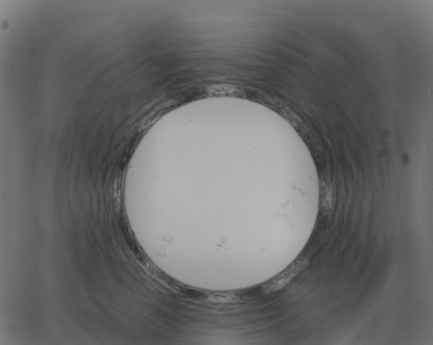 X0000067890666200604271828