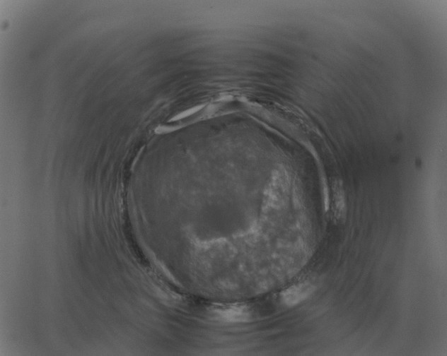 X0000067890667200604271828