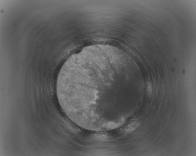 X0000067890668200604271828