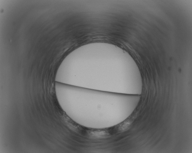 X0000067890669200604271828