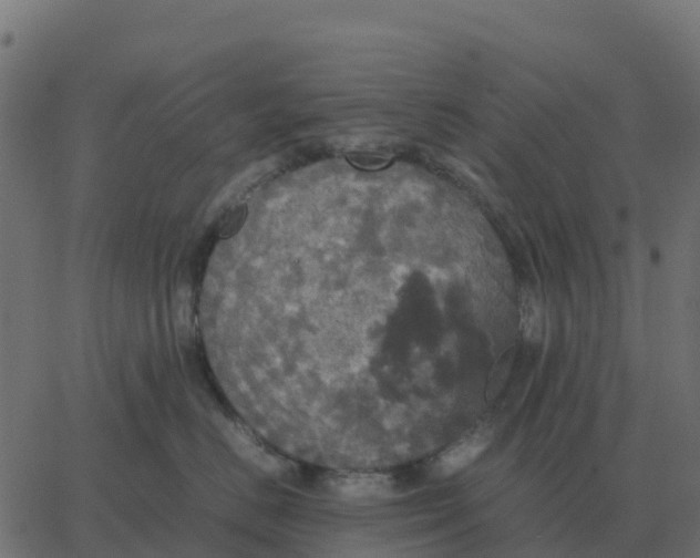 X0000067890670200604271828