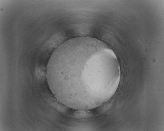 X0000067890672200604271828