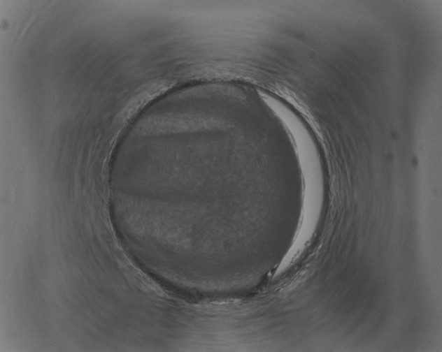 X0000067890673200604271827