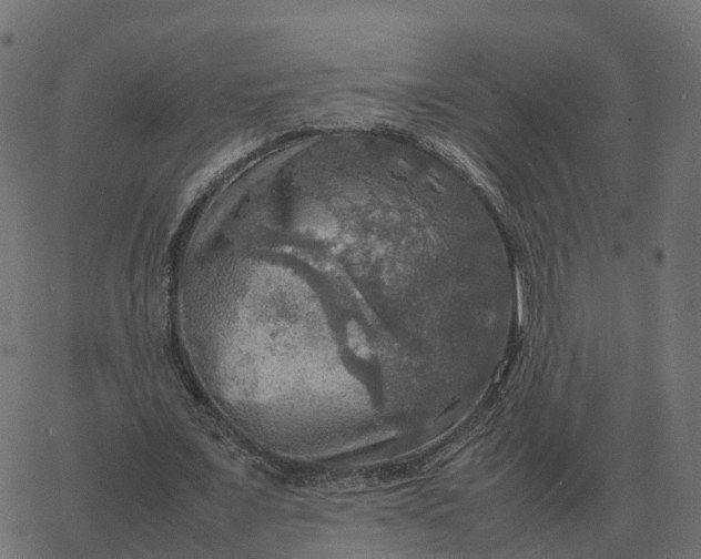 X0000067890675200604271827