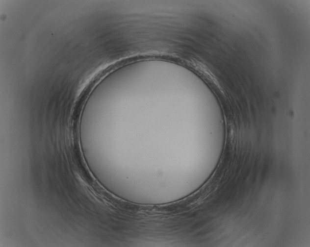 X0000067890676200604271827