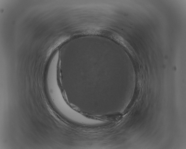 X0000067890677200604271827