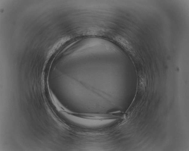 X0000067890678200604271827