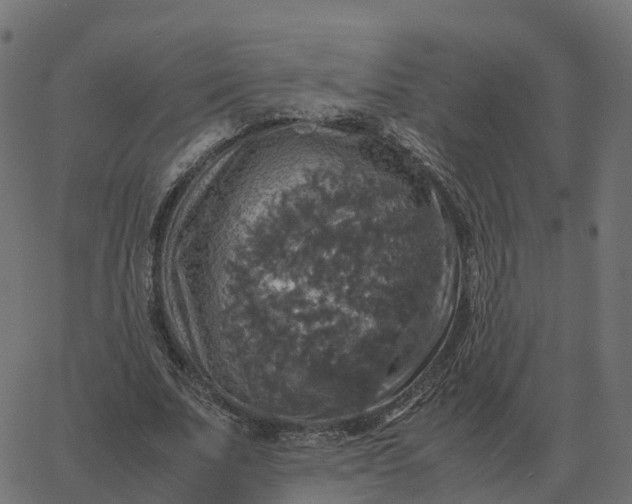 X0000067890679200604271827