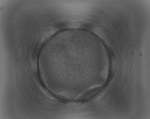 X0000067890681200604271827