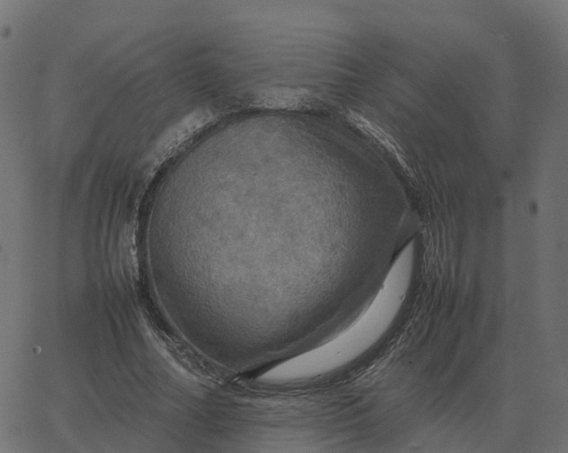 X0000067890682200604271827