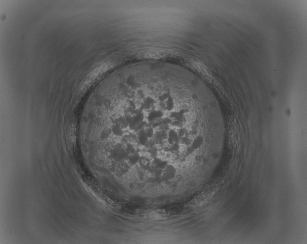 X0000067890683200604271827