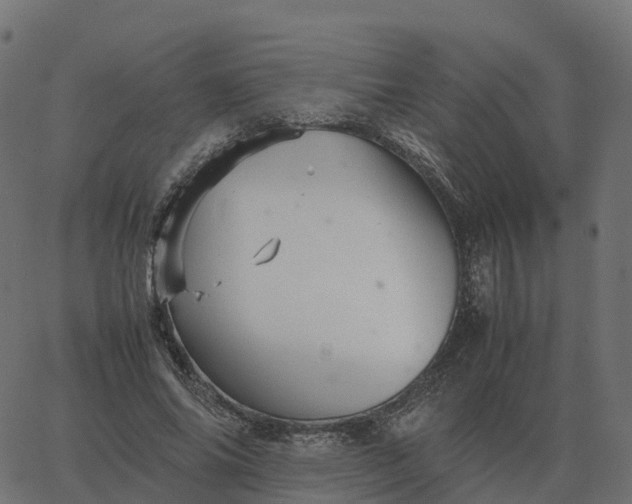 X0000067890686200604271827