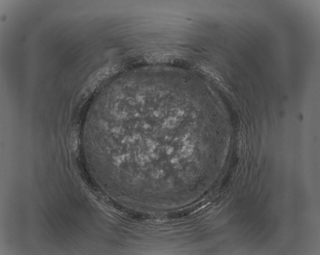 X0000067890687200604271827