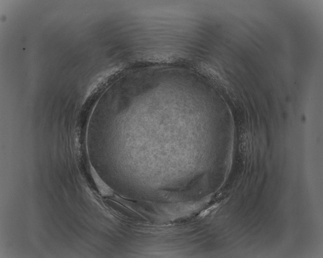 X0000067890688200604271827