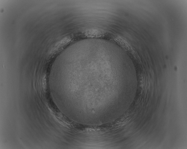 X0000067890690200604271827