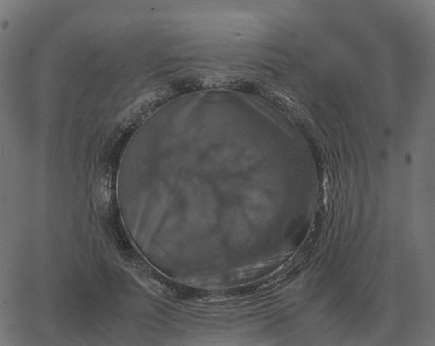 X0000067890691200604271827