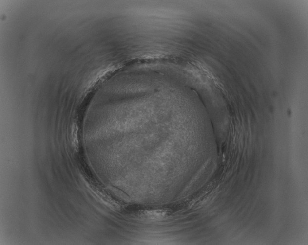 X0000067890692200604271827